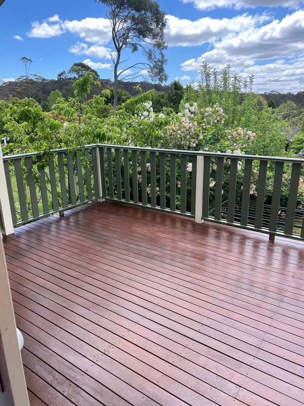 Deck staining project before