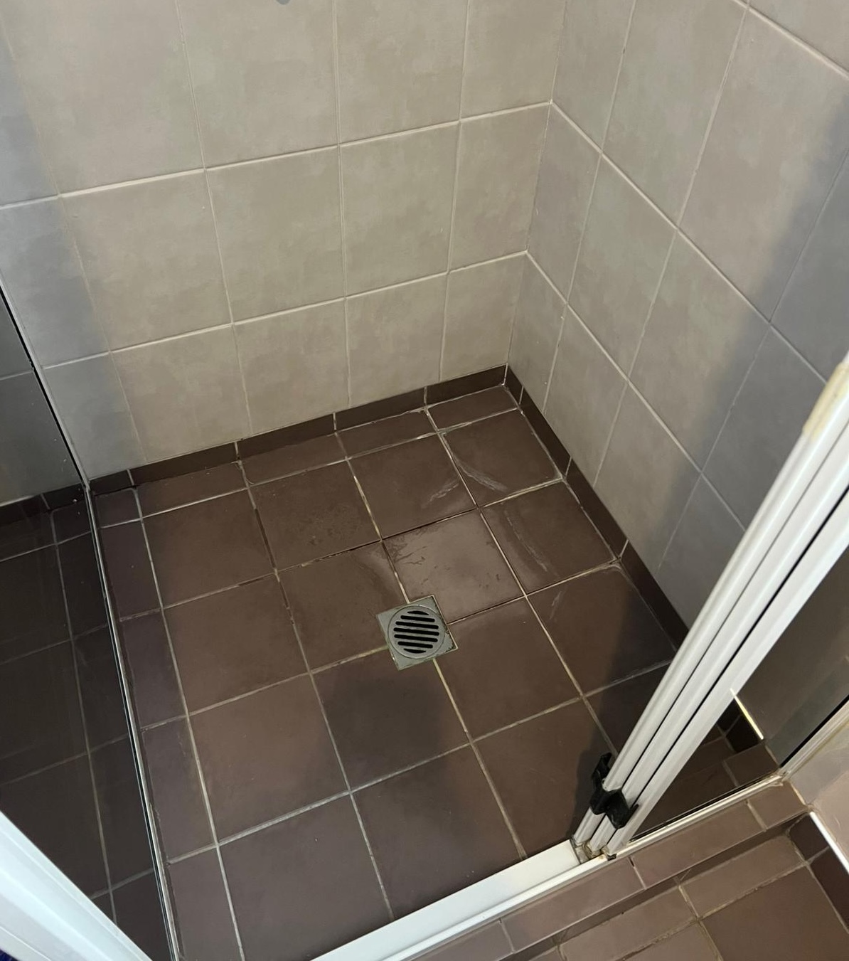 Gold Coast shower regrouting - after: fresh white epoxy grout with professional waterproof sealing